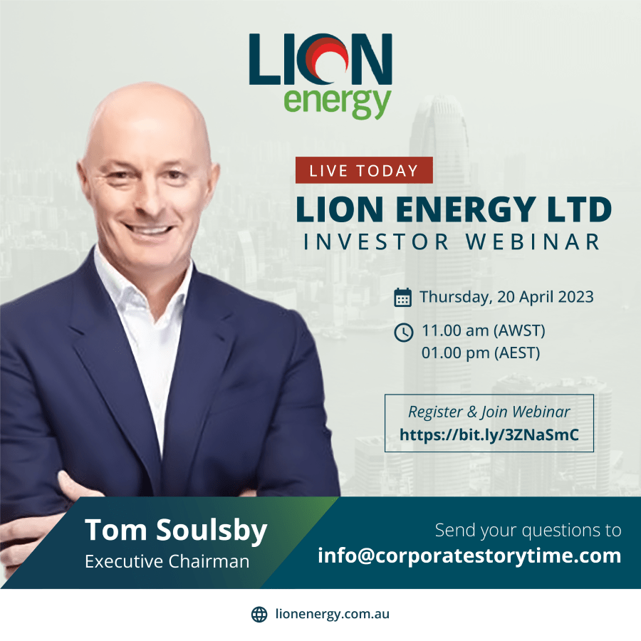 Lion Energy Project Gallery 7